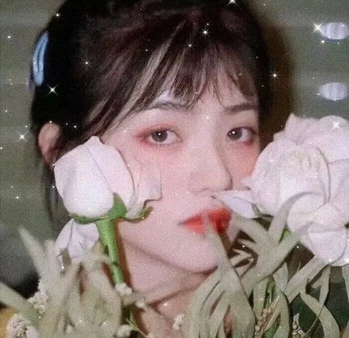 直捣蜂窝的女孩